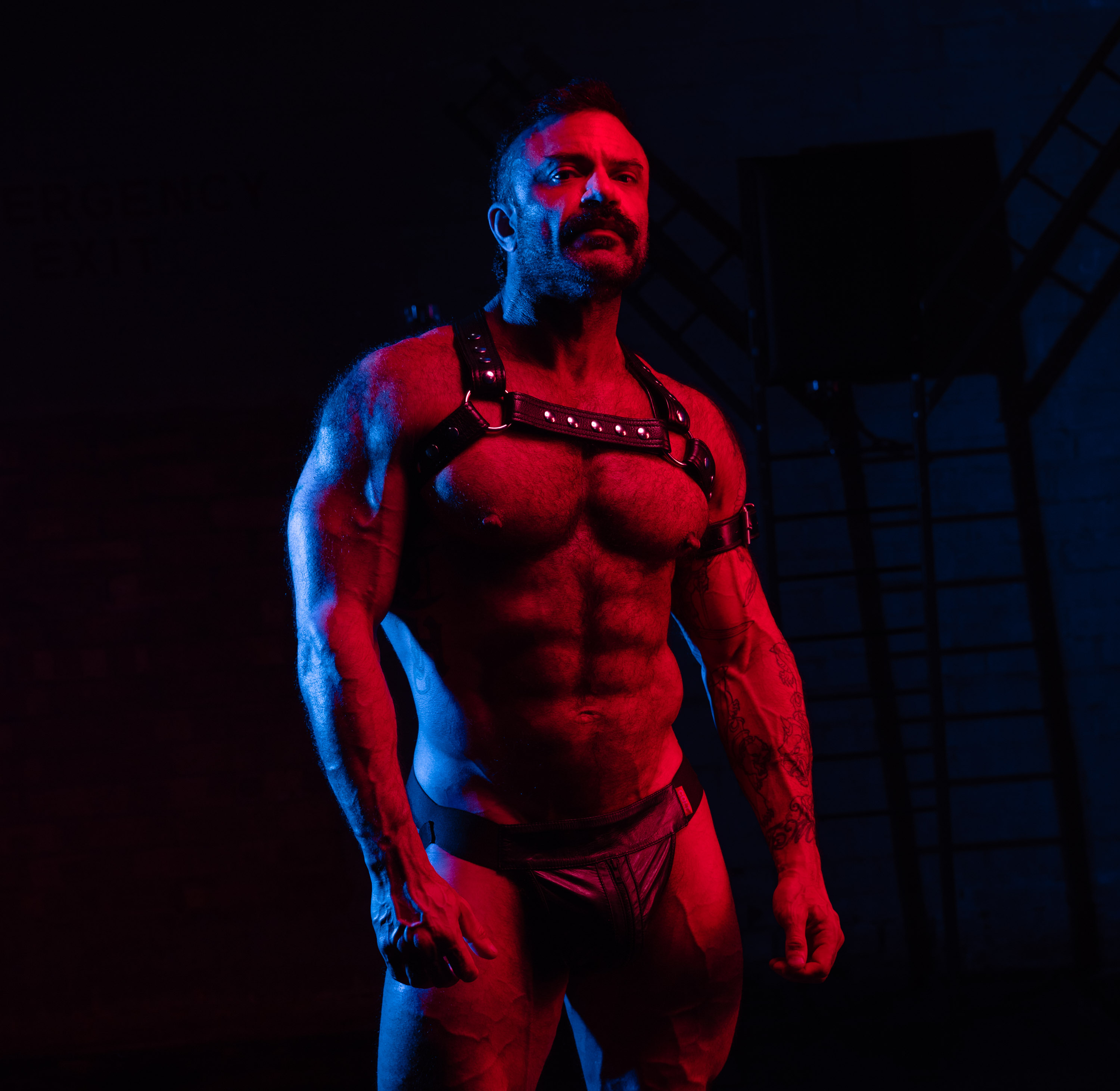 Rogan