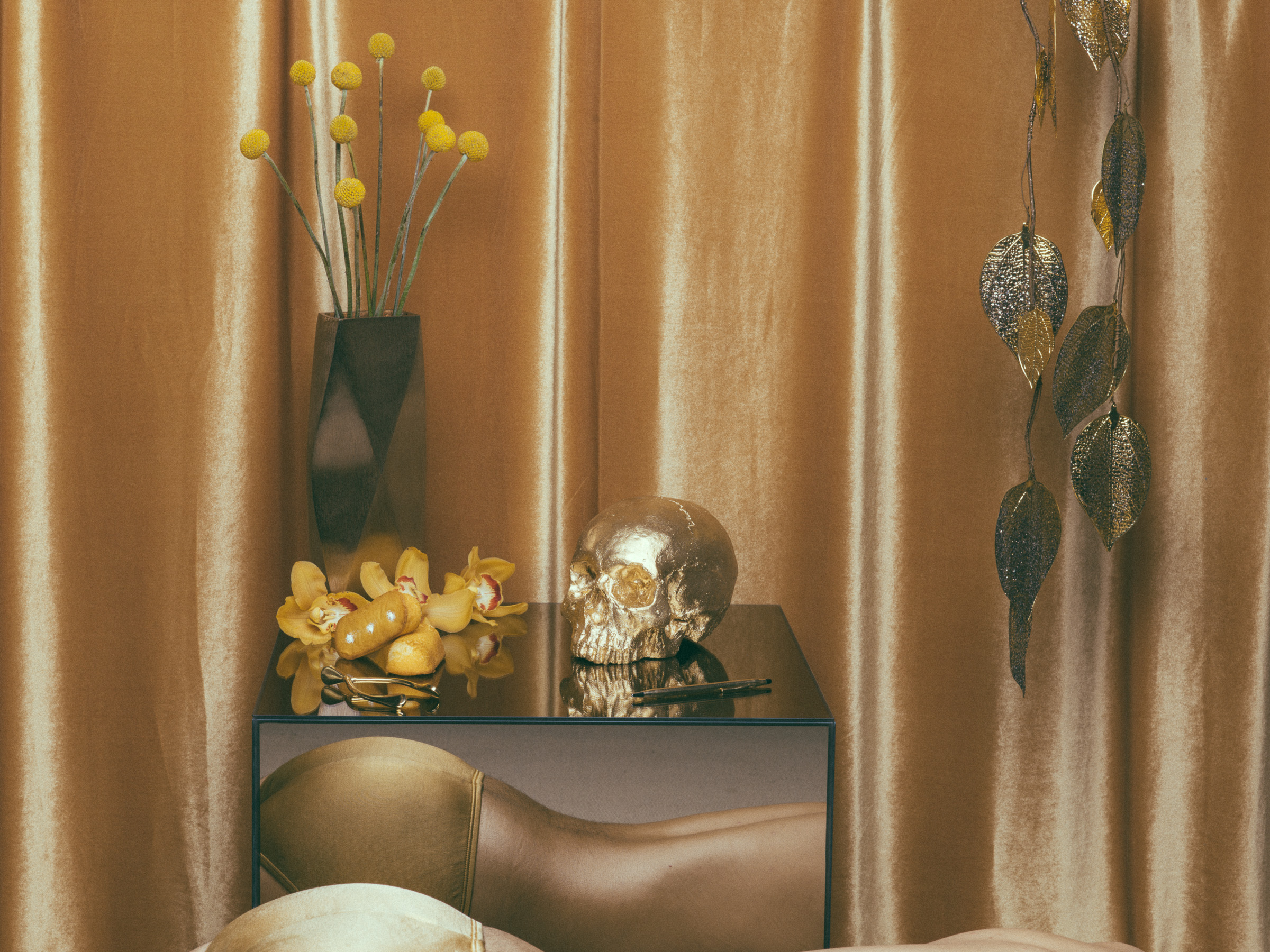 Vanitas - Gold